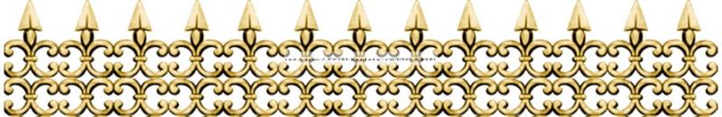 Trông Gai 35-40cm MS1